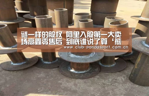 谜一样的股权 阿里入股第一大卖场高鑫零售后 到底谁说了算‘熊猫体育官网’(图2) 熊猫体育官网