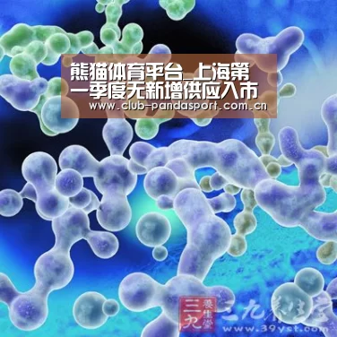 熊猫体育平台_上海第一季度无新增供应入市 前两个月零售总额同比上升6.7%(图1) 熊猫体育客户端