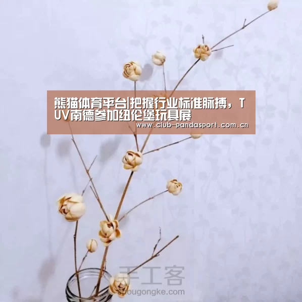 熊猫体育平台|把握行业标准脉搏,TUV南德参加纽伦堡玩具展(图2) 熊猫体育客户端
